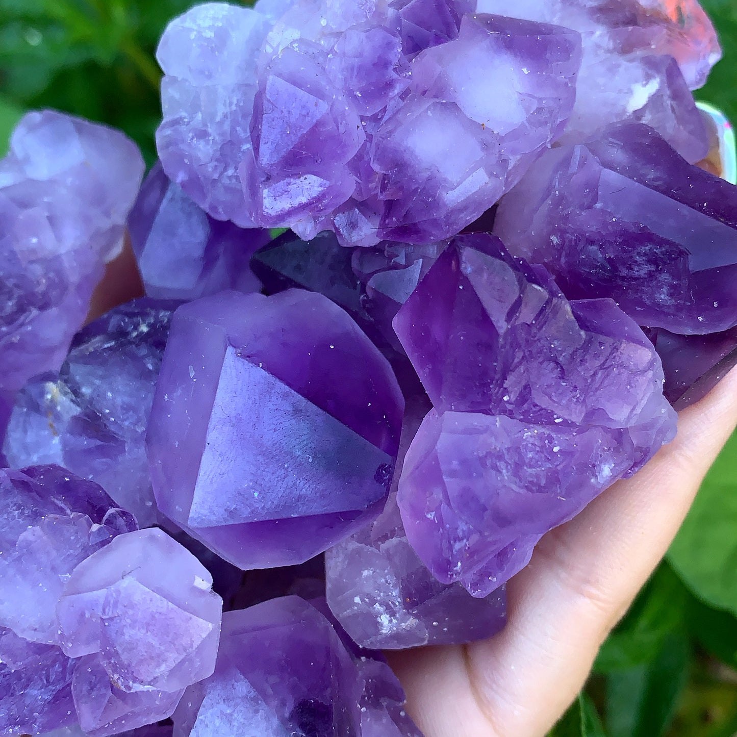 Amethyst Rough Point Clusters