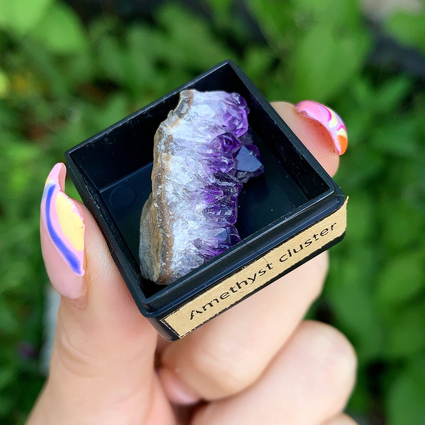 Ancient Specimen Fossil & Crystal Gift Box