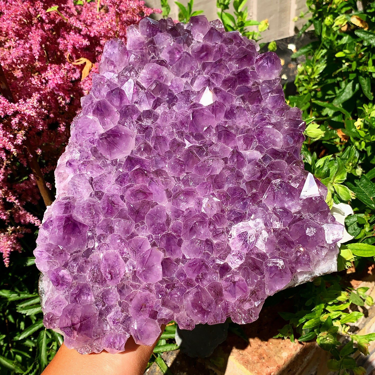 Giant Raw Amethyst Cluster - 3.5KG