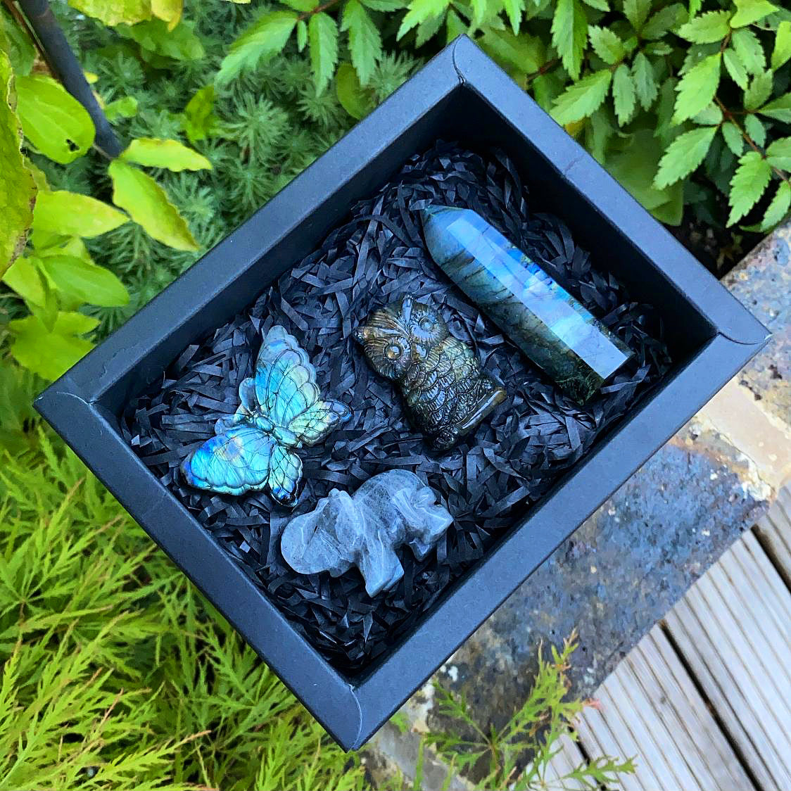 Labradorite Gift Box - Transformation