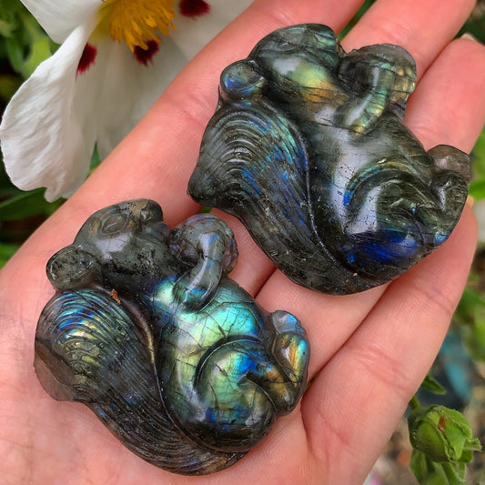 Hand Carved Labradorite Squirrel