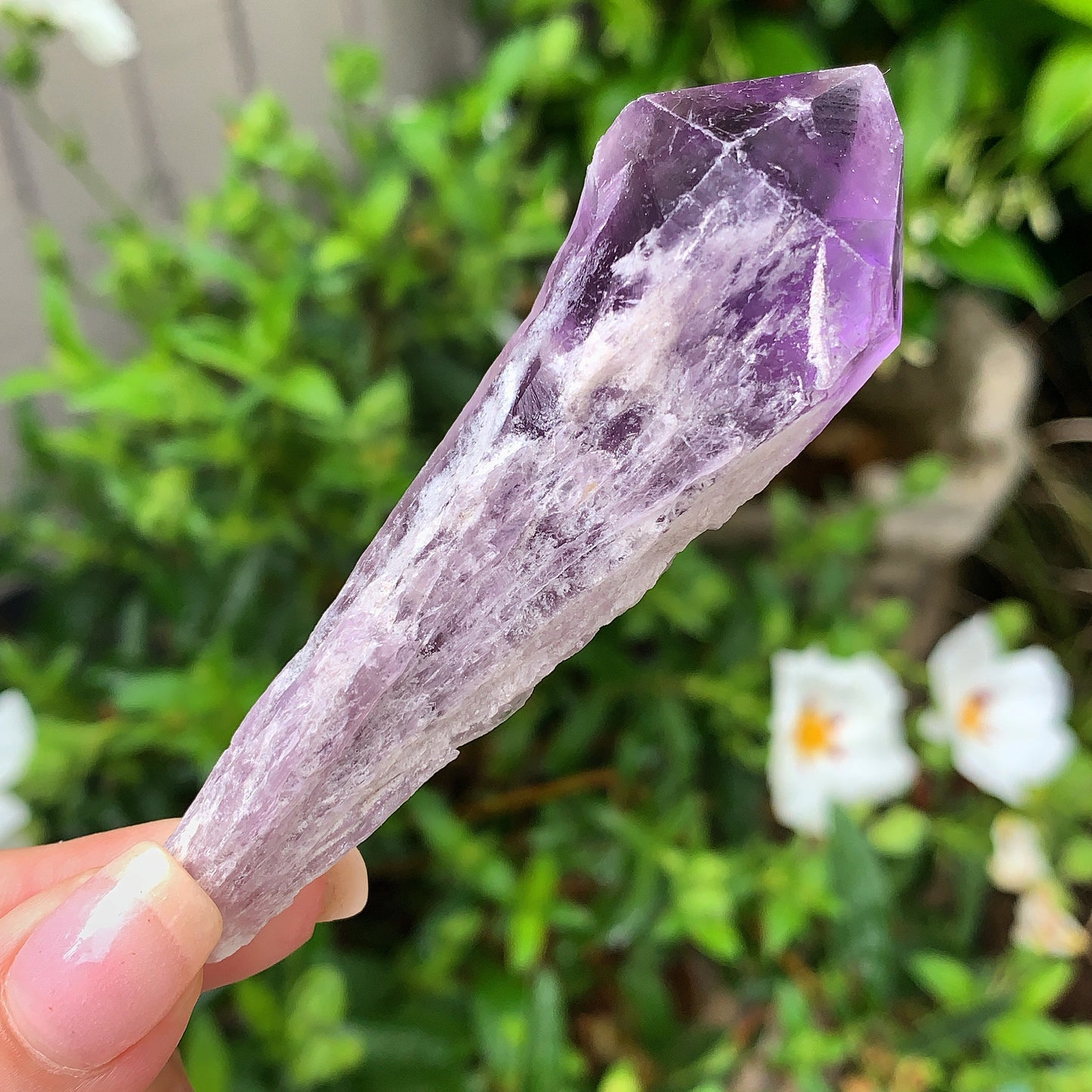 Raw Amethyst Shards