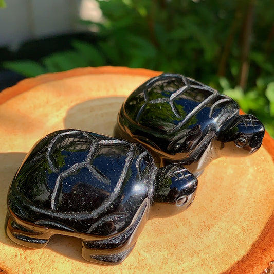 Obsidian Tortoise