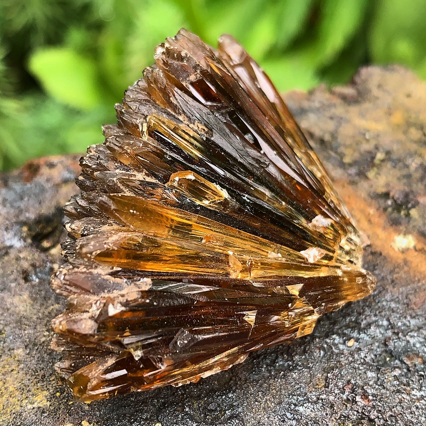 Amber Calcite Cluster - 42g