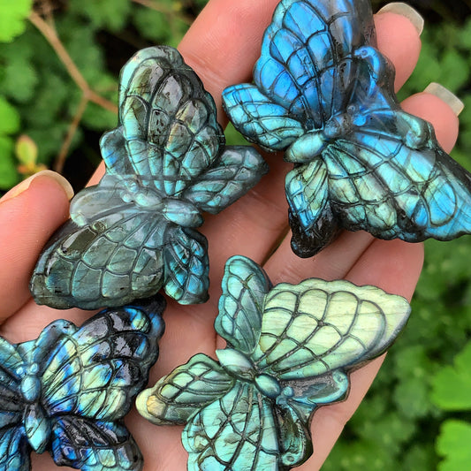 Hand Carved Labradorite Butterfly