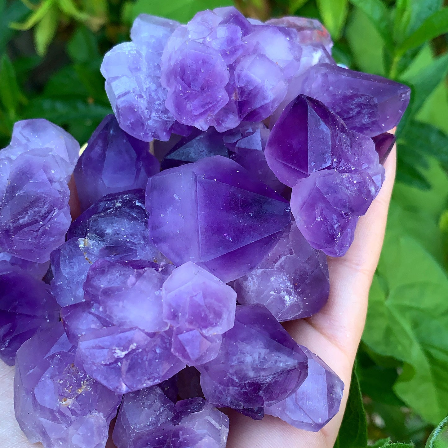 Amethyst Rough Point Clusters