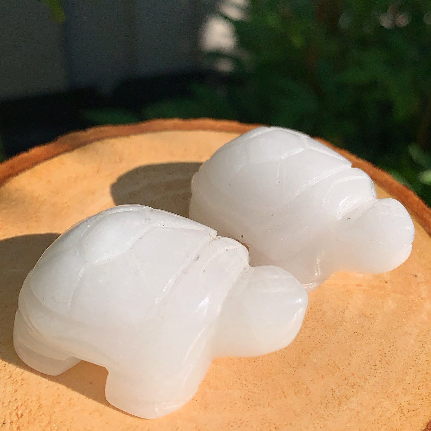 White Jade Tortoise