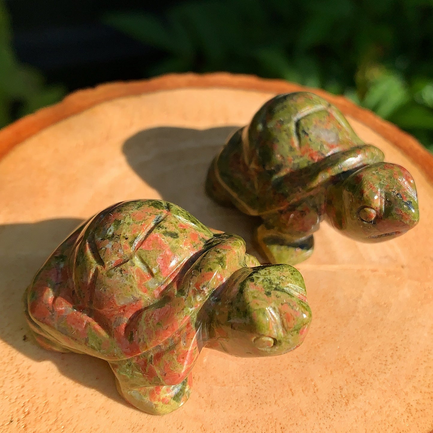 Unakite Tortoise