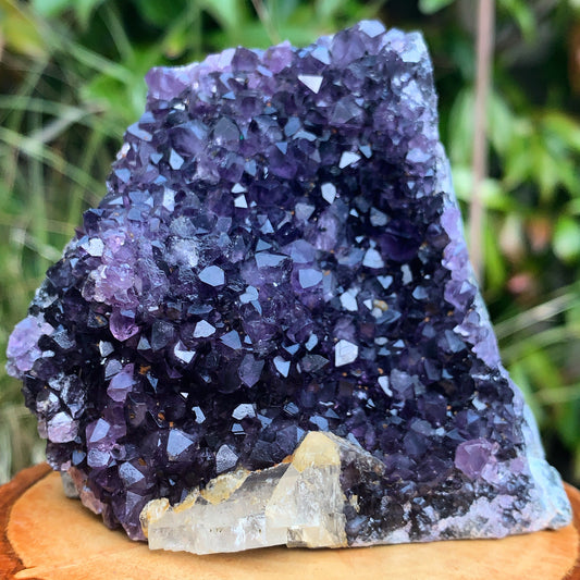 Uruguayan Amethyst Cluster #10