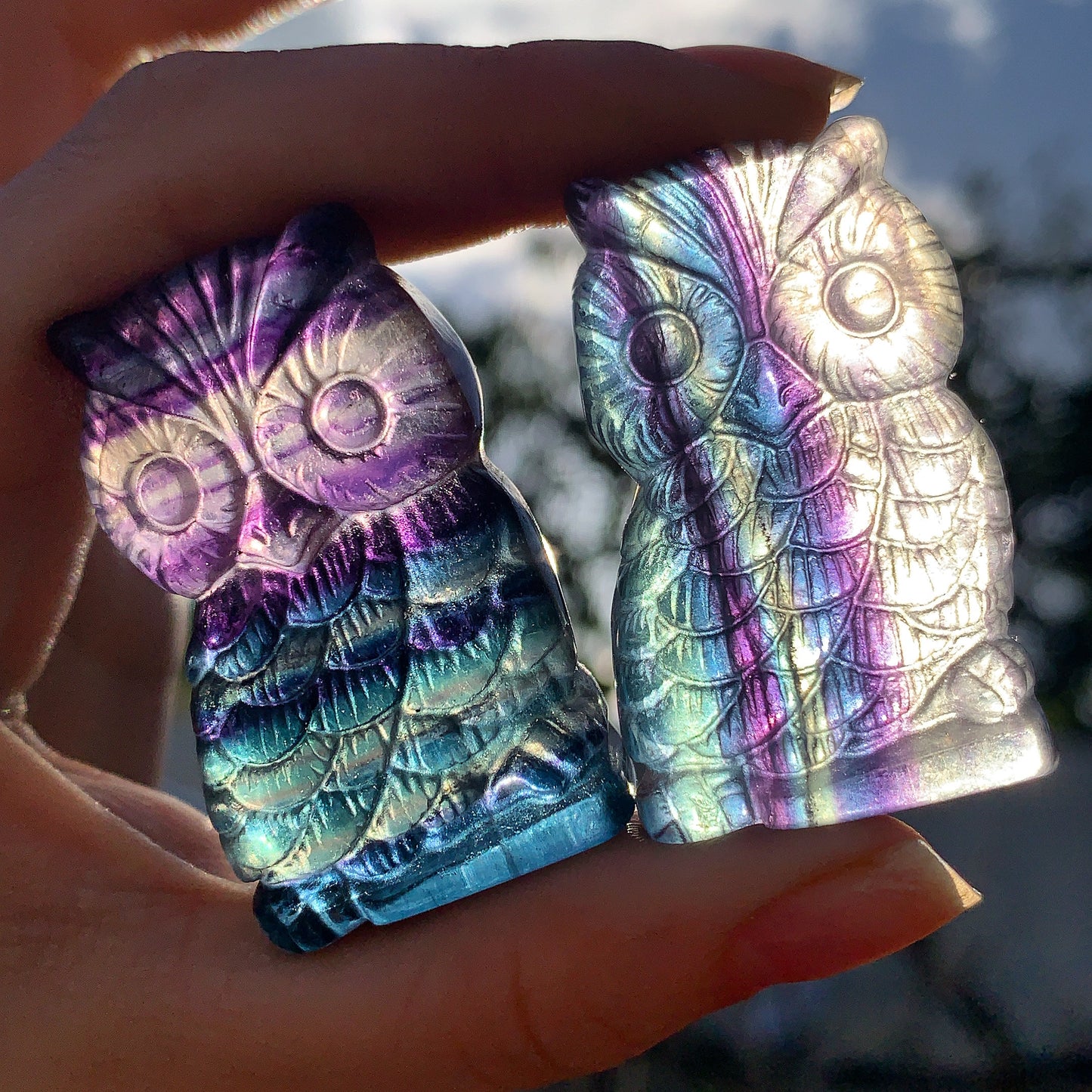 Hand Carved Rainbow Fluorite Owl
