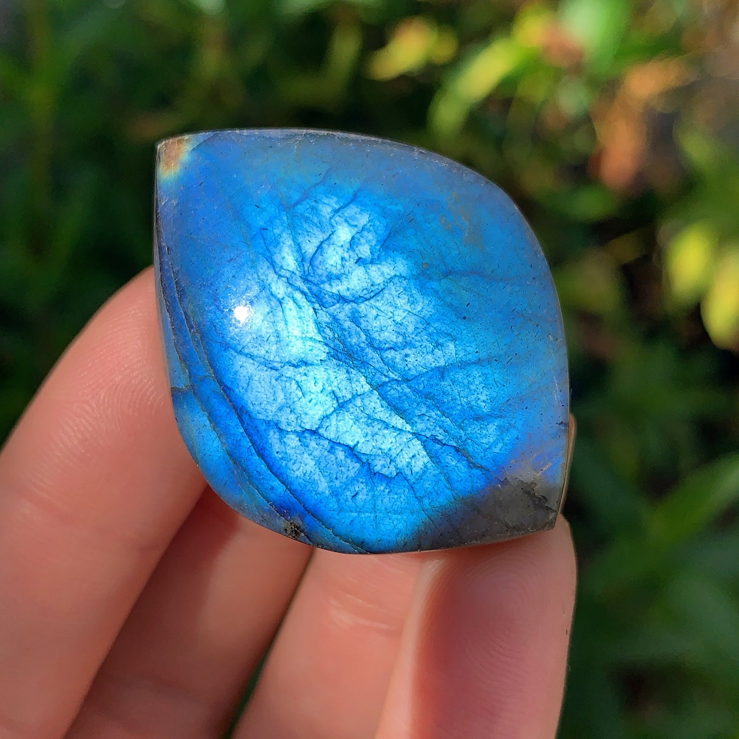 Labradorite Leaf