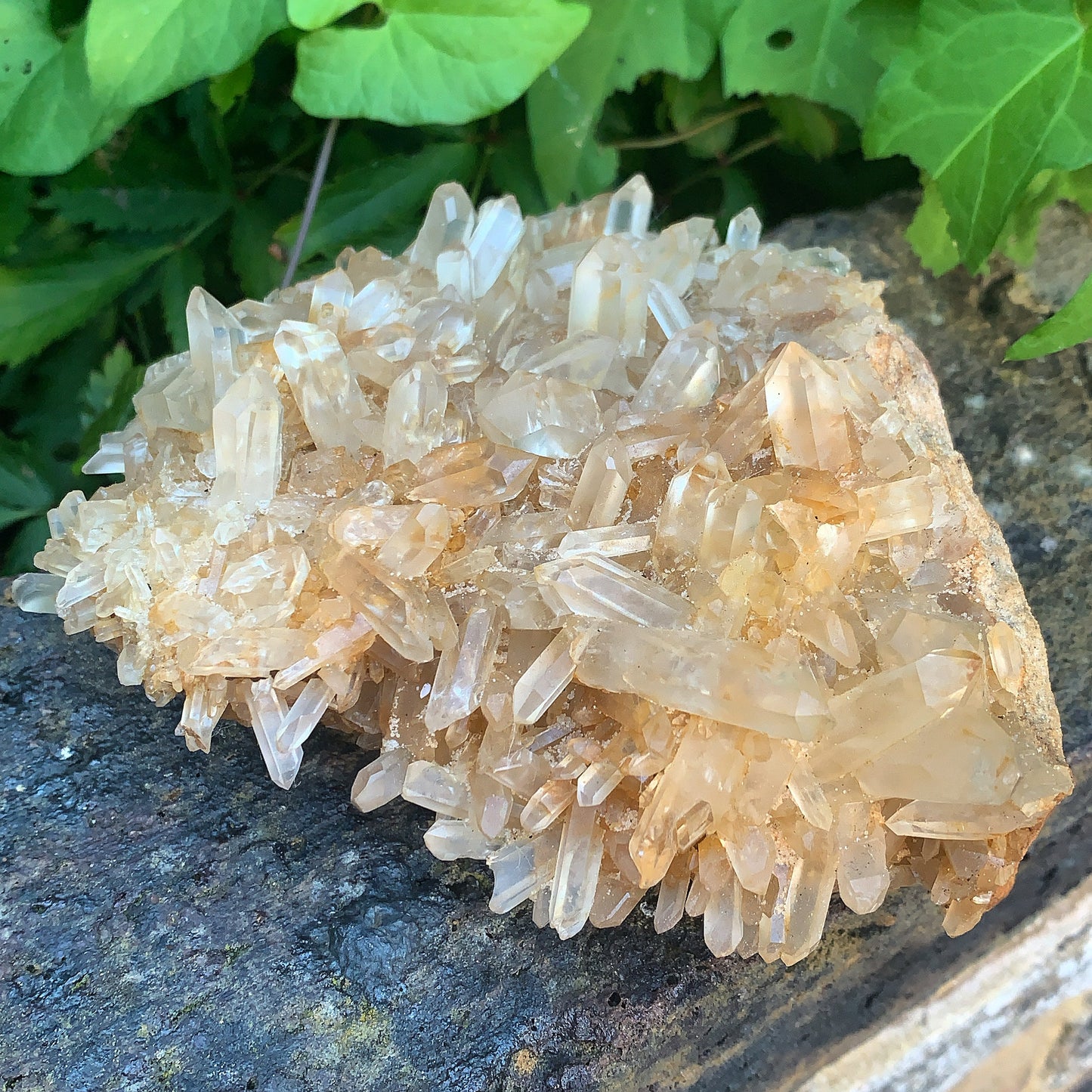 Dreamy Clear Quartz Cluster - 669g