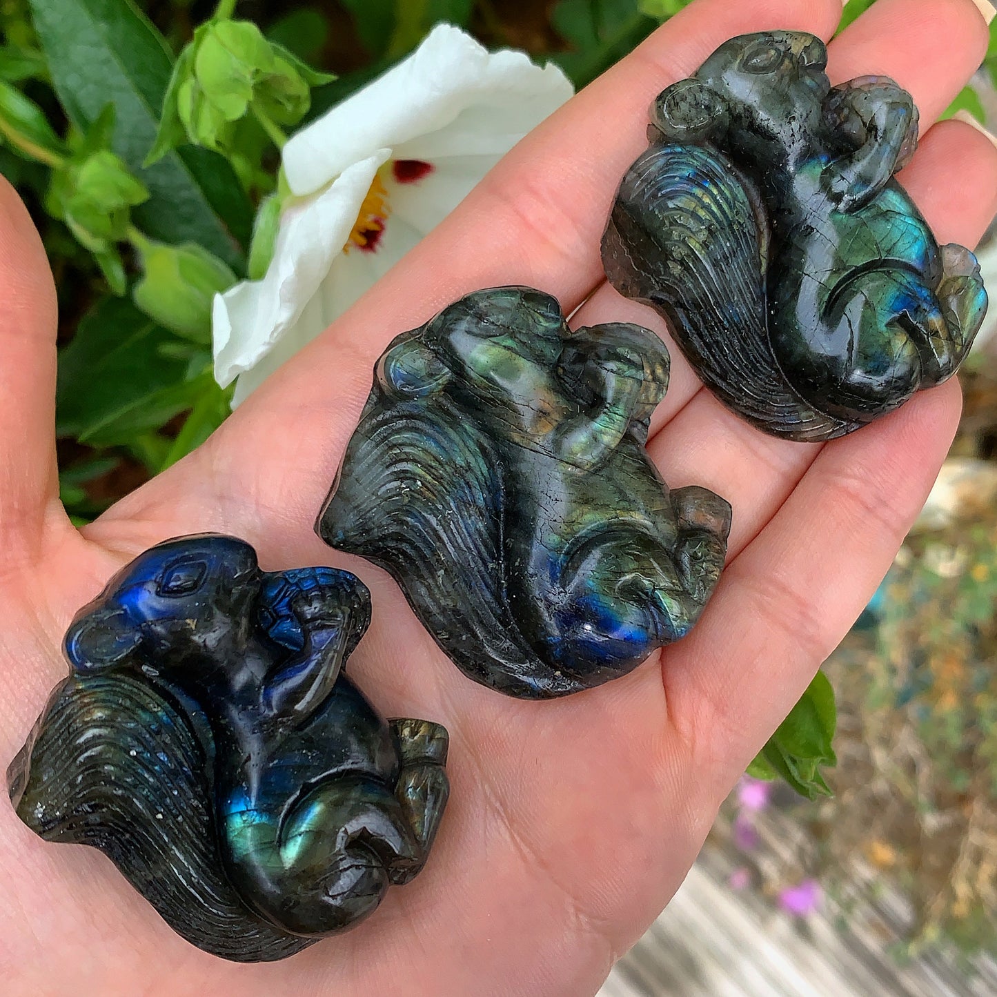 Hand Carved Labradorite Squirrel