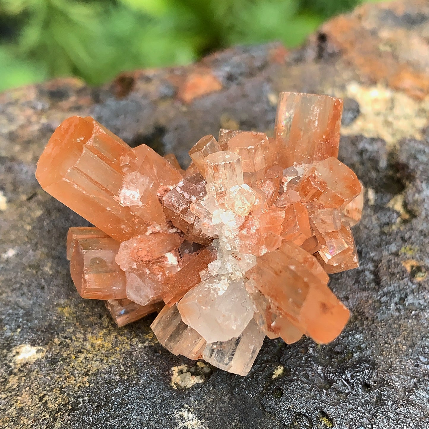 Aragonite Raw Cluster 2 - 16g