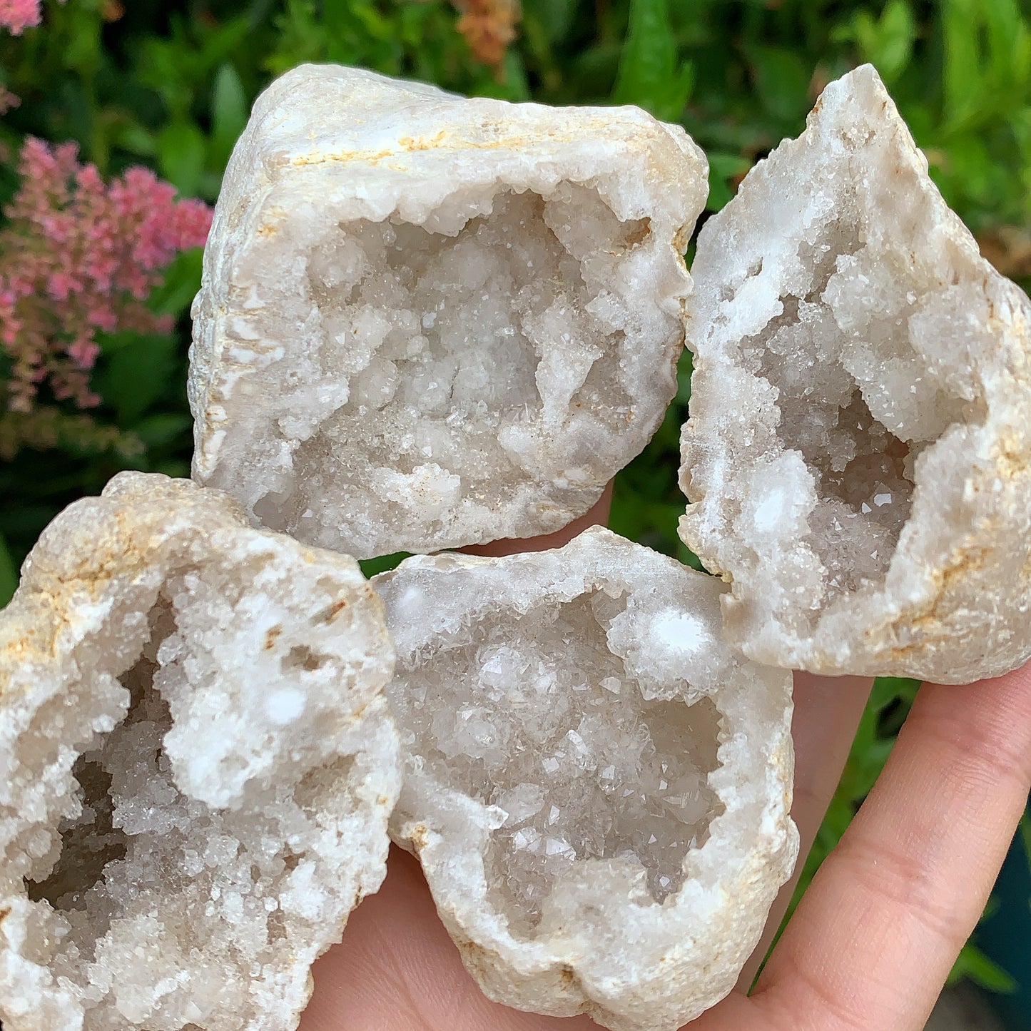 Mini Agate Geode Slices