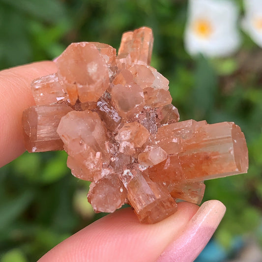 Aragonite Raw Cluster 2 - 16g