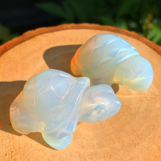 Opalite Tortoise