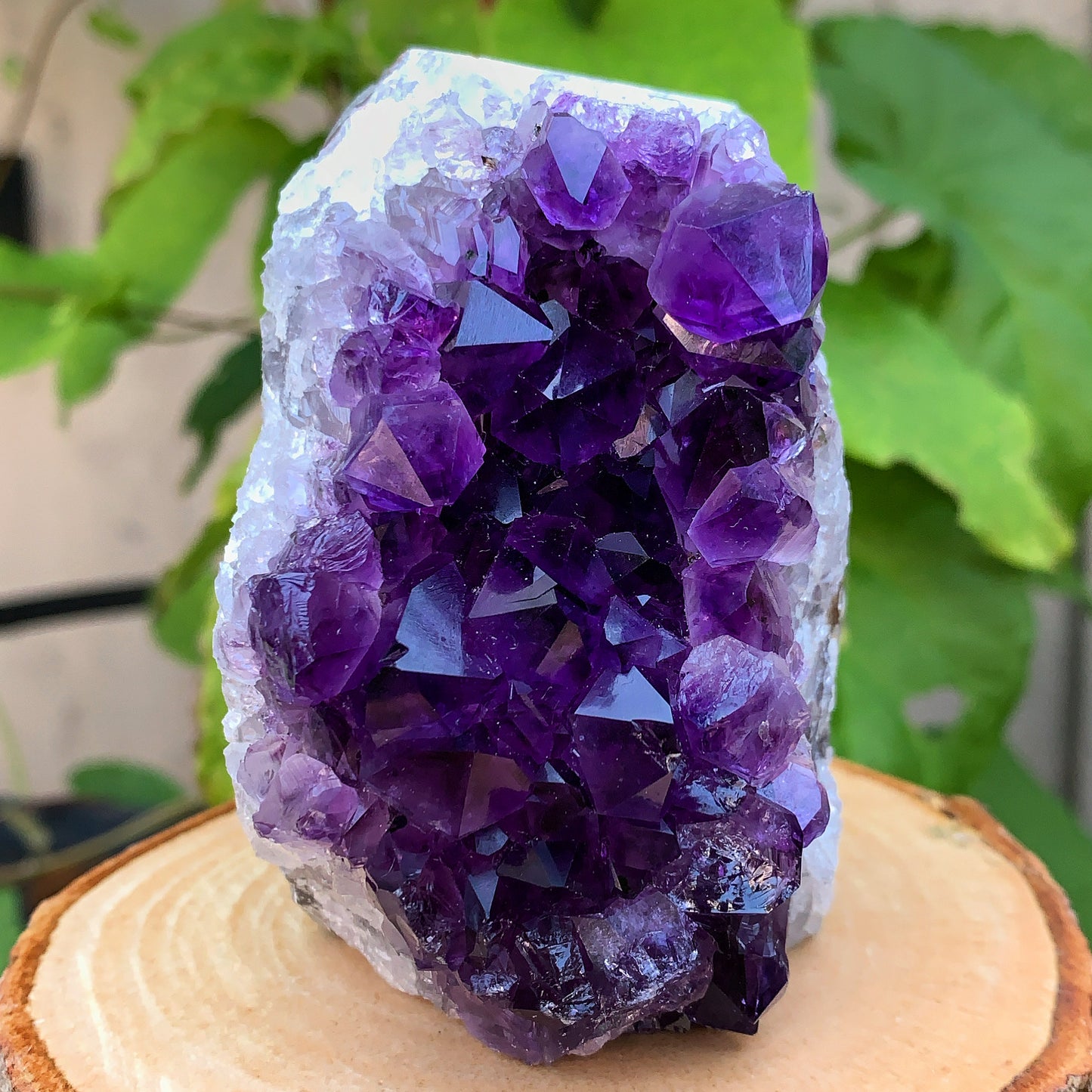 Uruguayan Amethyst Cluster #3