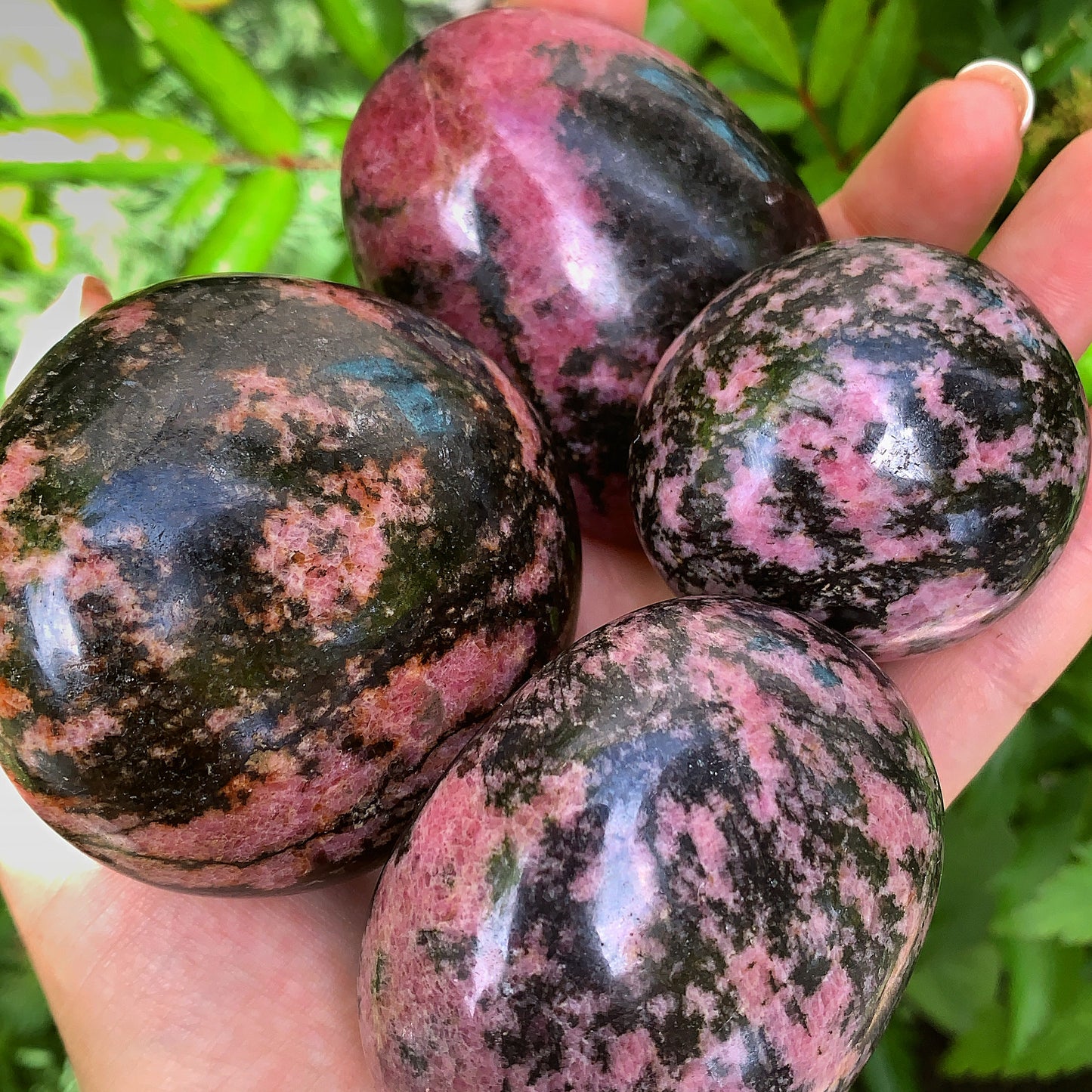 Plum Blossom Tourmaline Palm Stone