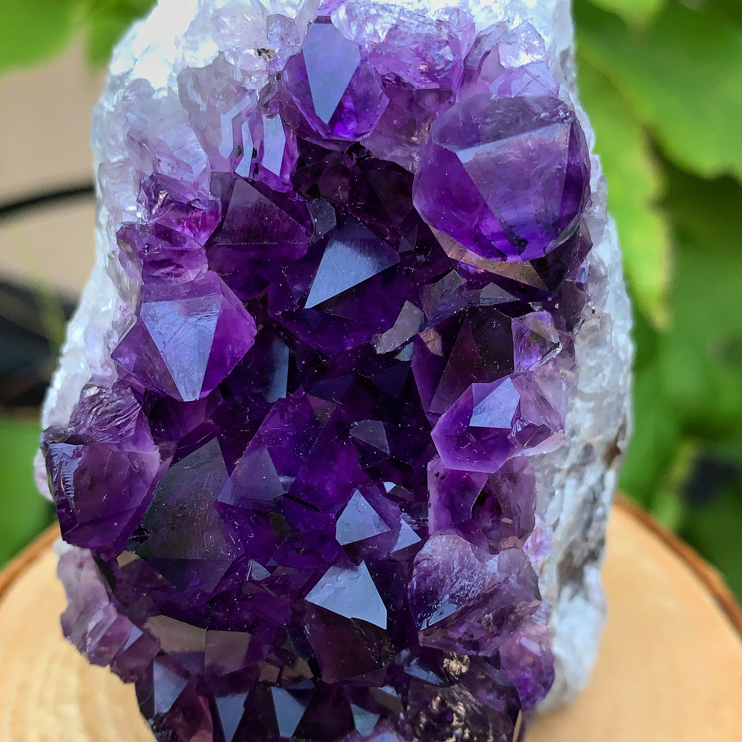 Uruguayan Amethyst Cluster #3