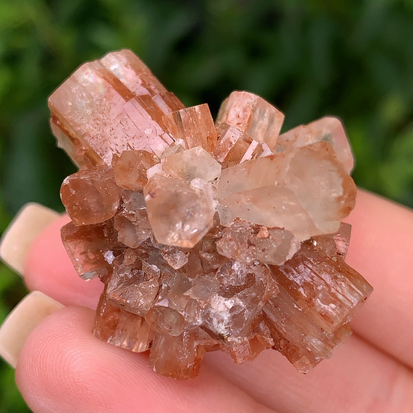 Aragonite Cluster 1 - 21g