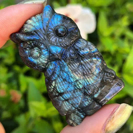 Hand Carved Labradorite Owl