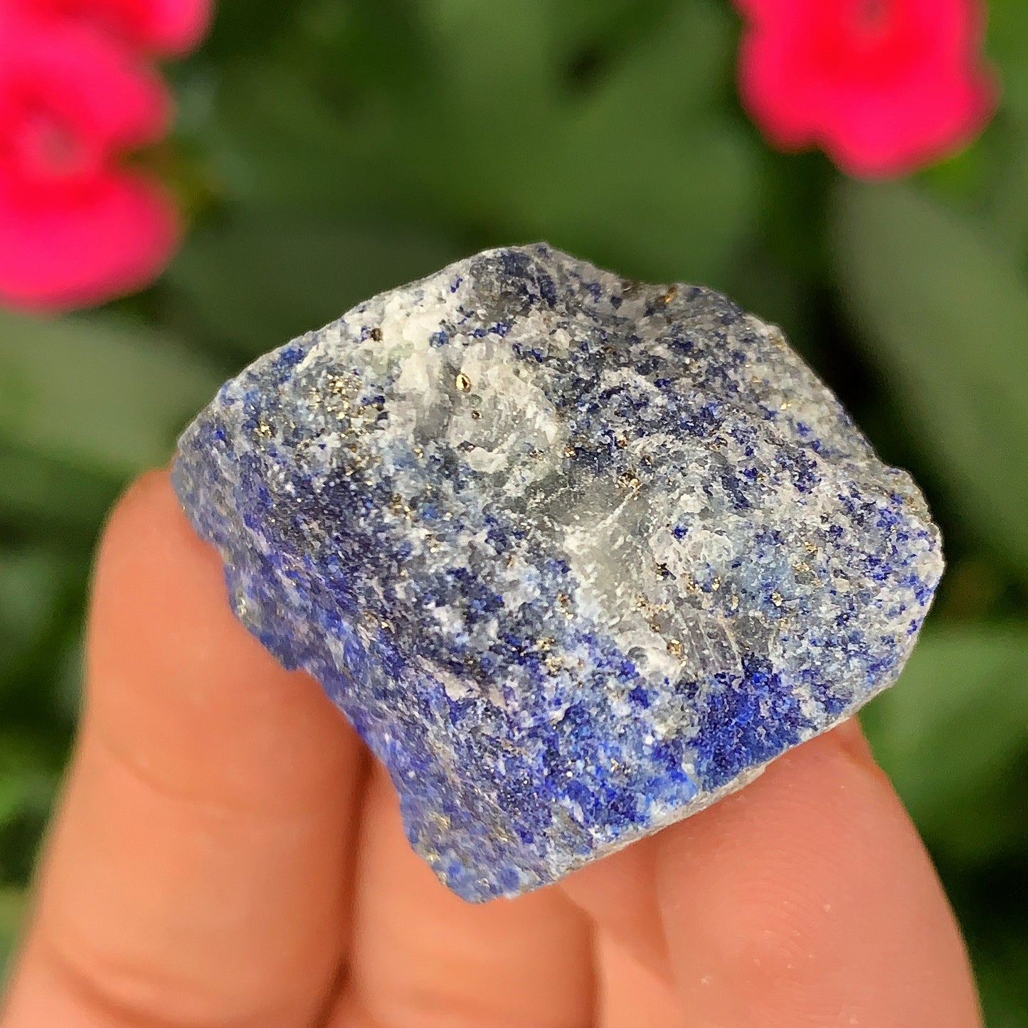 Lapis Lazuli Rough Crystal