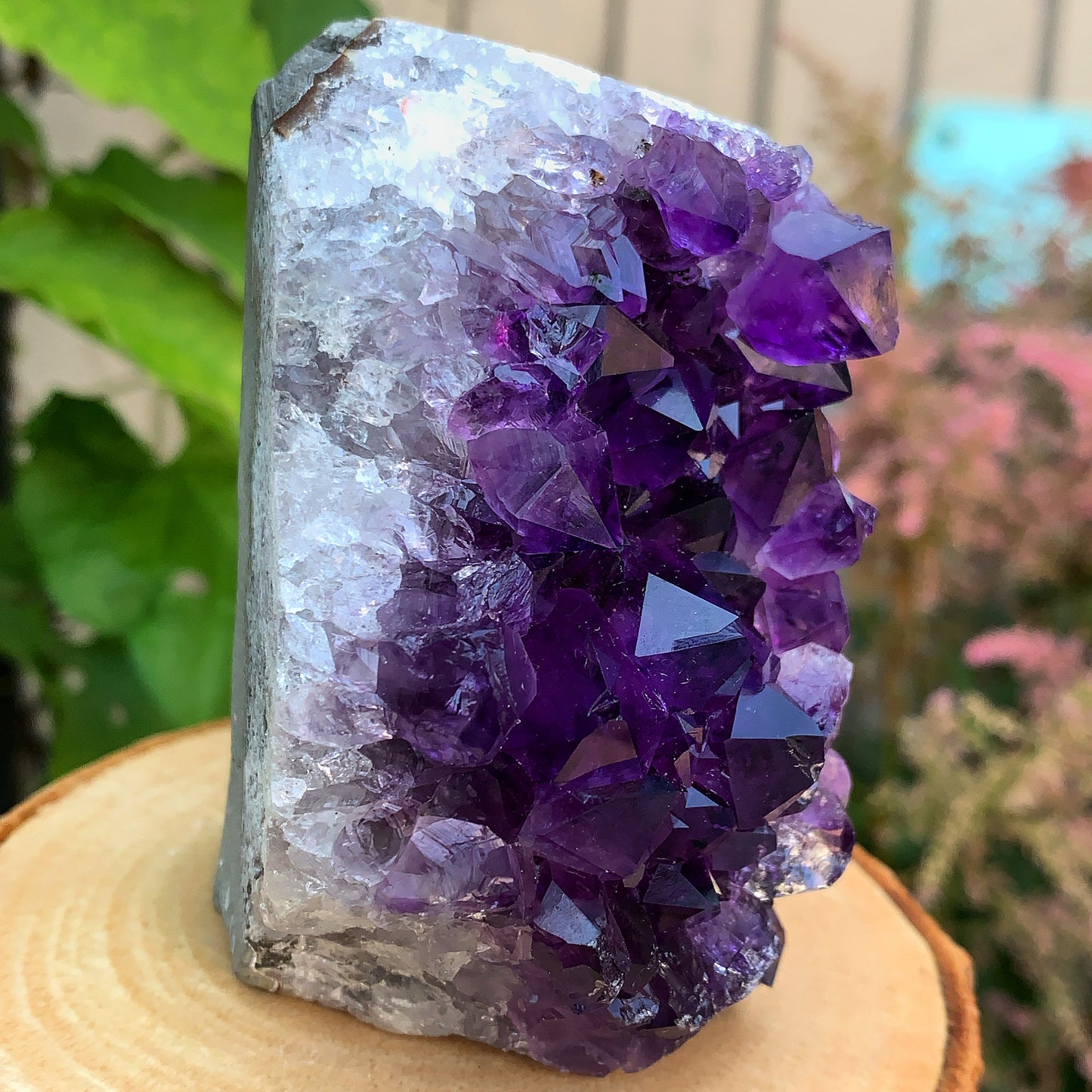 Uruguayan Amethyst Cluster #3