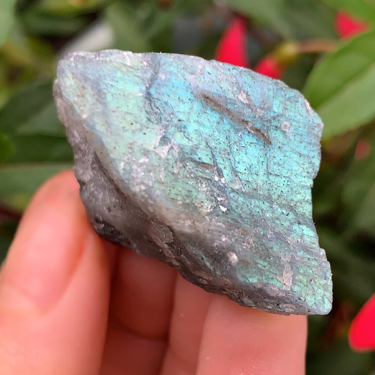 Labradorite Rough Crystal