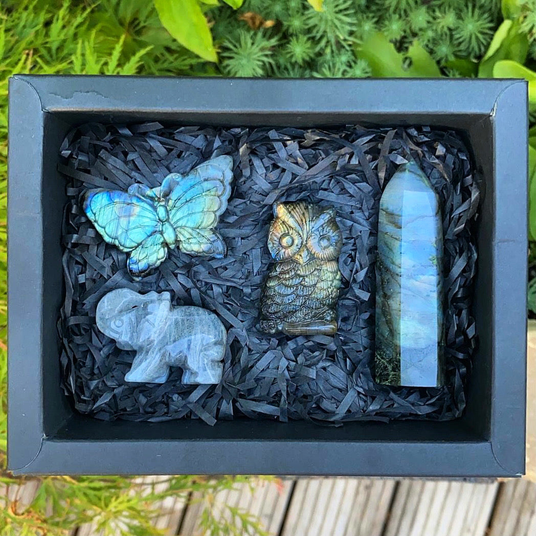 Labradorite Gift Box - Transformation
