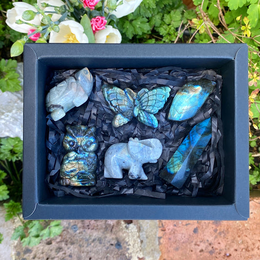 Labradorite Crystal Gift Box