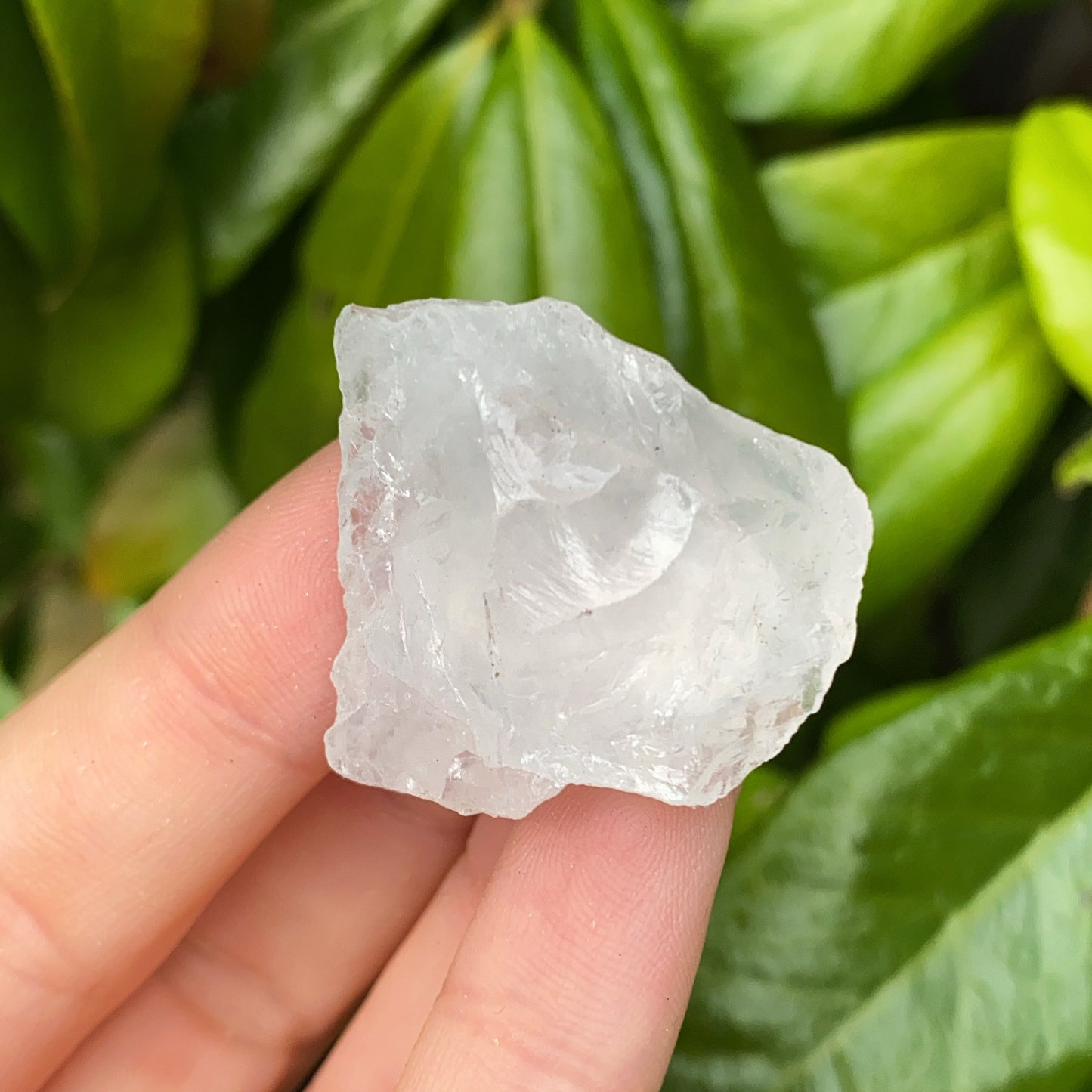 Mini Clear Quartz Rough Crystal
