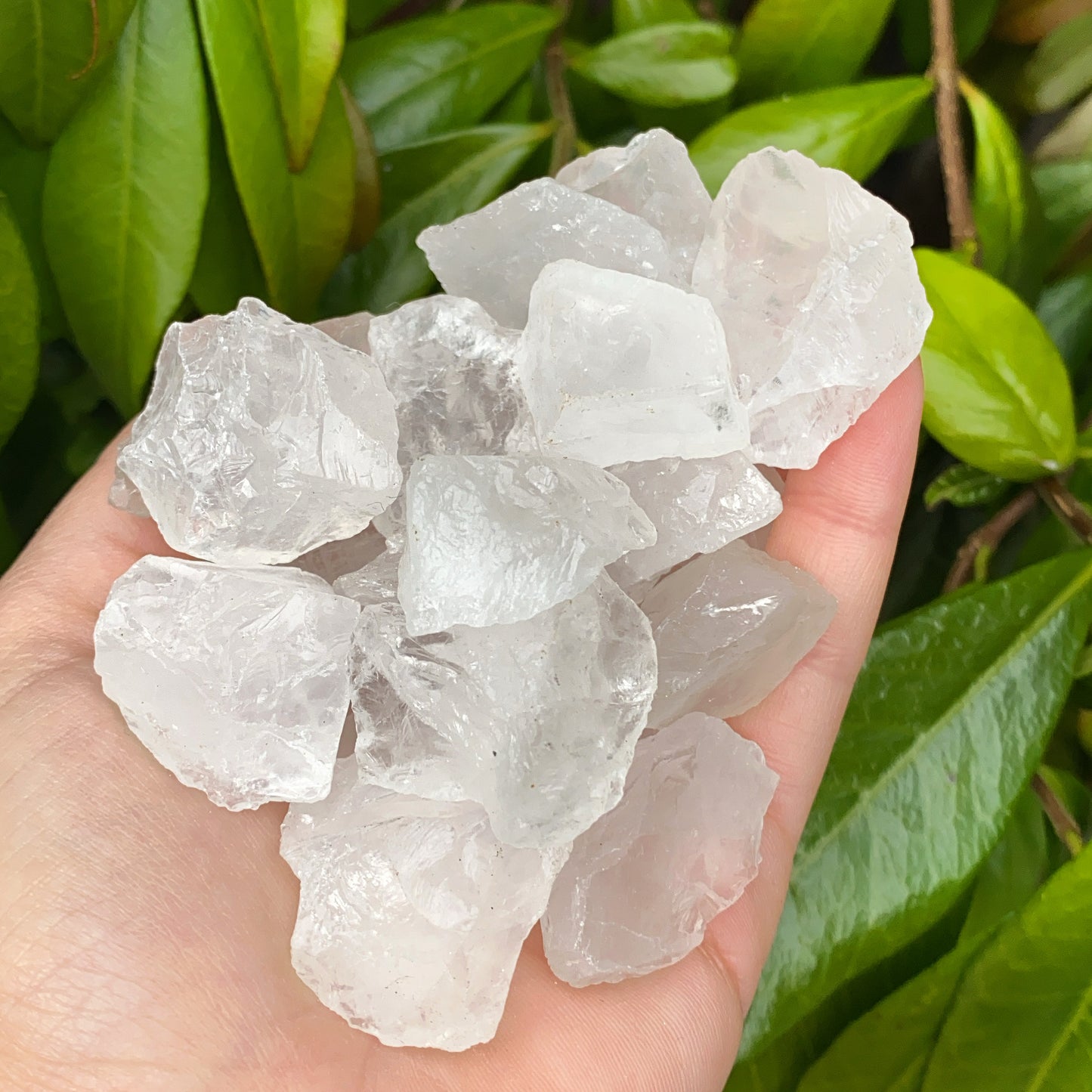 Mini Clear Quartz Rough Crystal