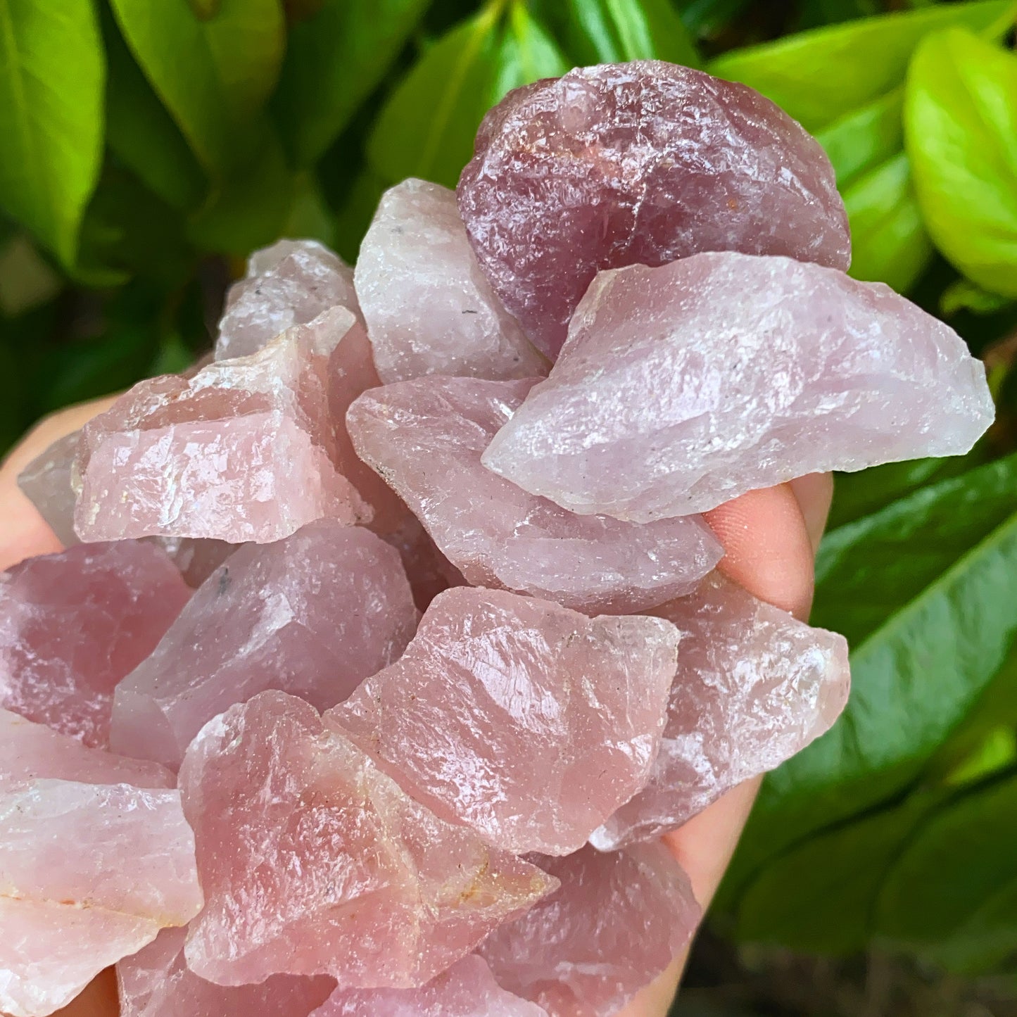 Mini Rose Quartz Rough Crystal