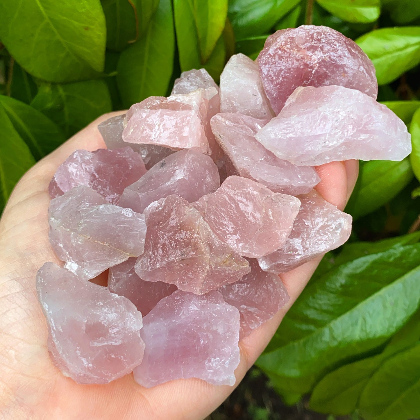 Mini Rose Quartz Rough Crystal