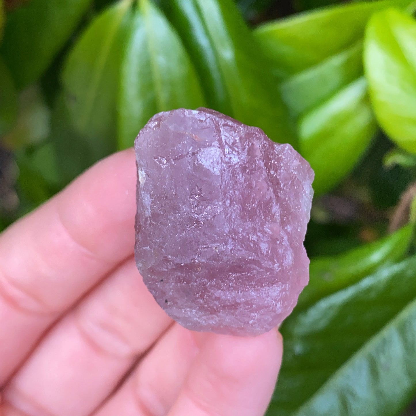 Mini Rose Quartz Rough Crystal