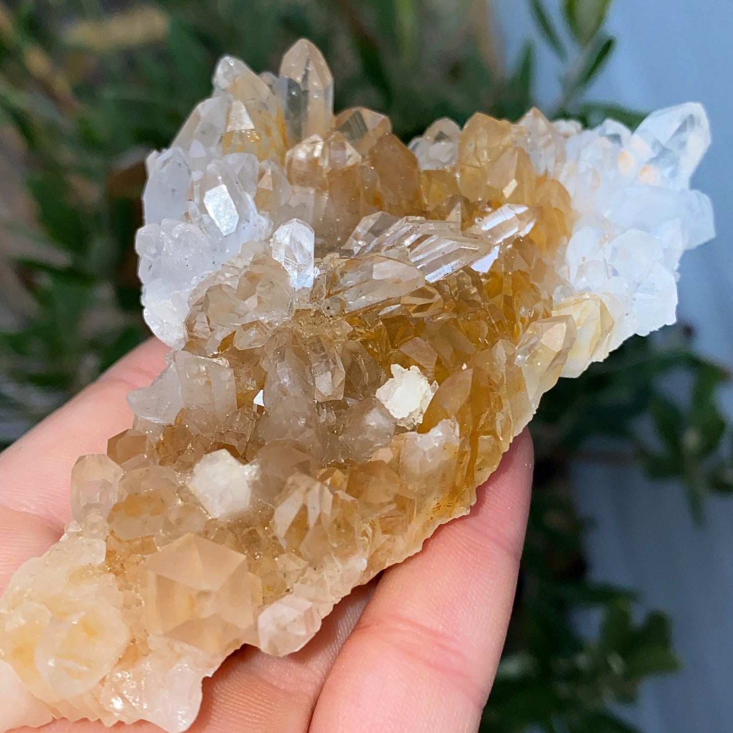 Clear Quartz Cluster - 161g