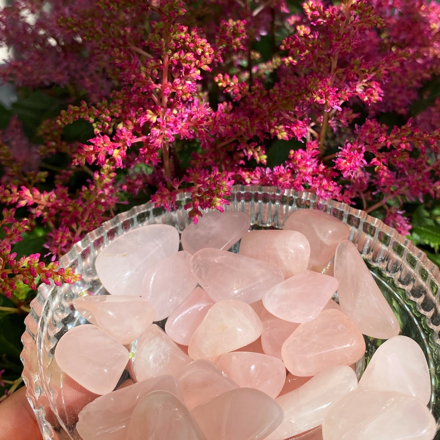 Rose Quartz Tumblestones