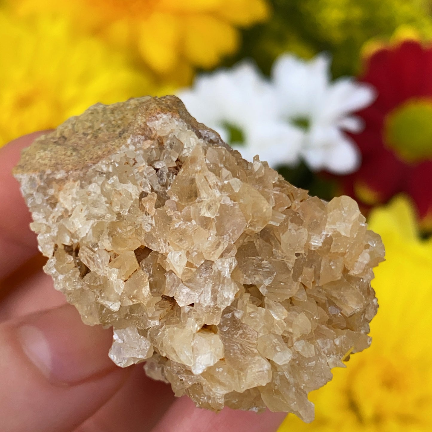 Portuguese Raw Honey Calcite #3