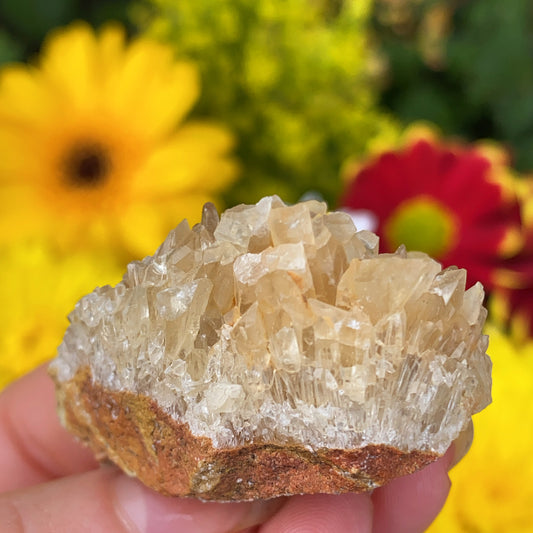 Portuguese Raw Honey Calcite #3