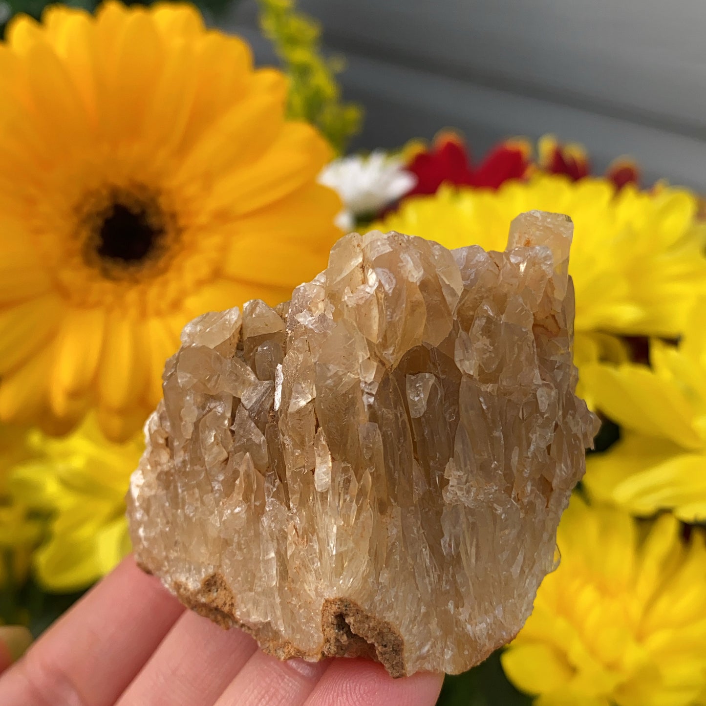 Portuguese Raw Honey Calcite #4