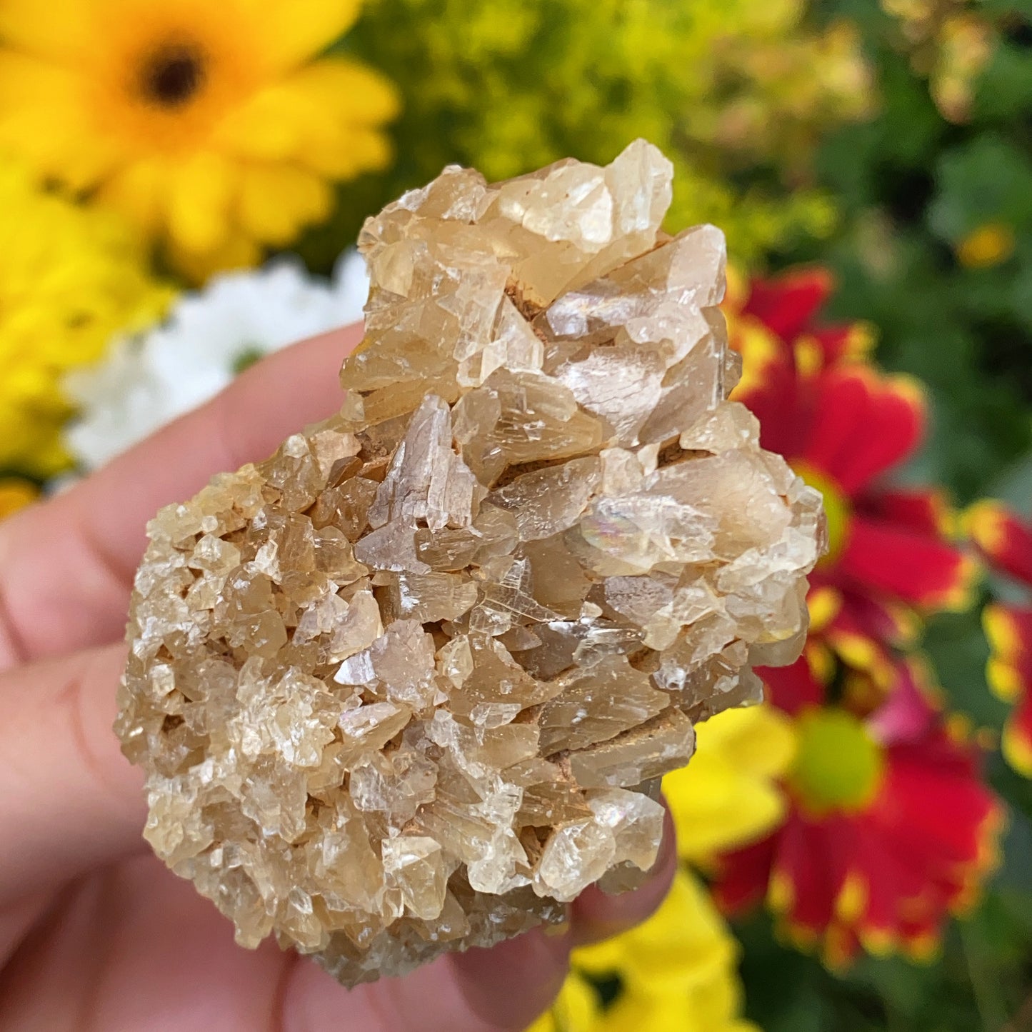 Portuguese Raw Honey Calcite #4