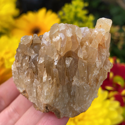 Portuguese Raw Honey Calcite #4