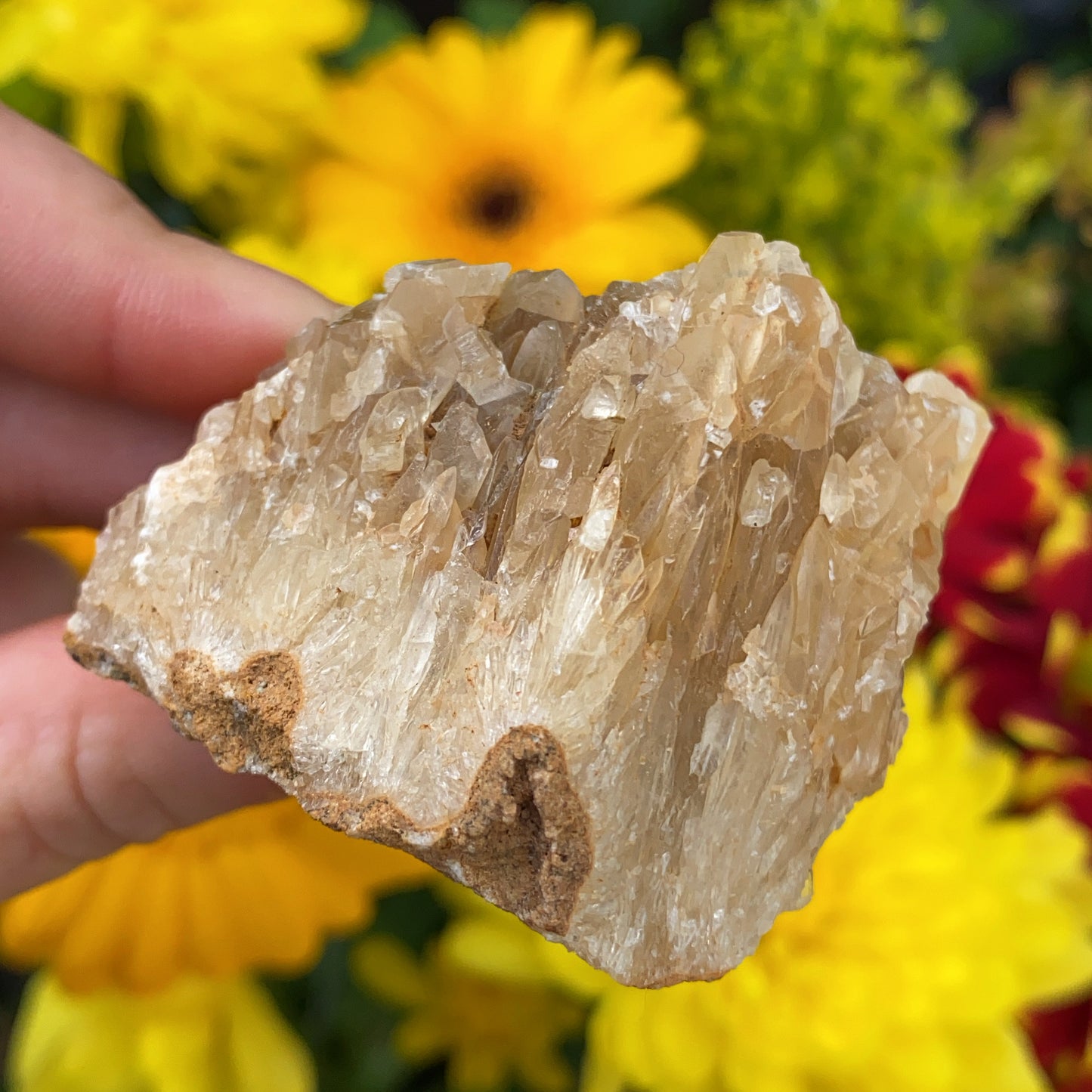 Portuguese Raw Honey Calcite #4