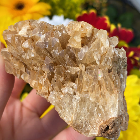 Portuguese Raw Honey Calcite #5