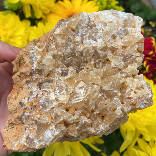 Portuguese Raw Honey Calcite #7