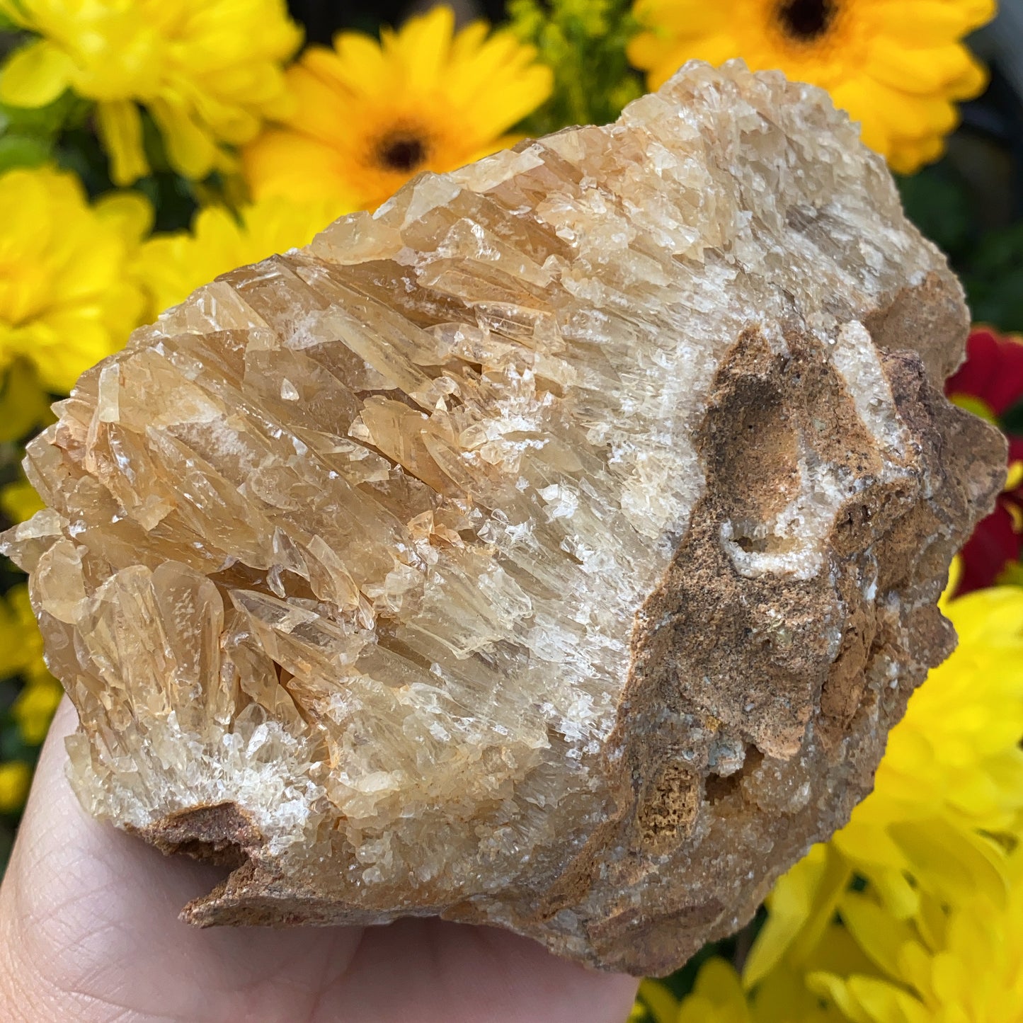 Portuguese Raw Honey Calcite #1