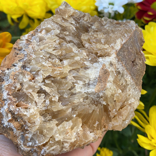Portuguese Raw Honey Calcite #8