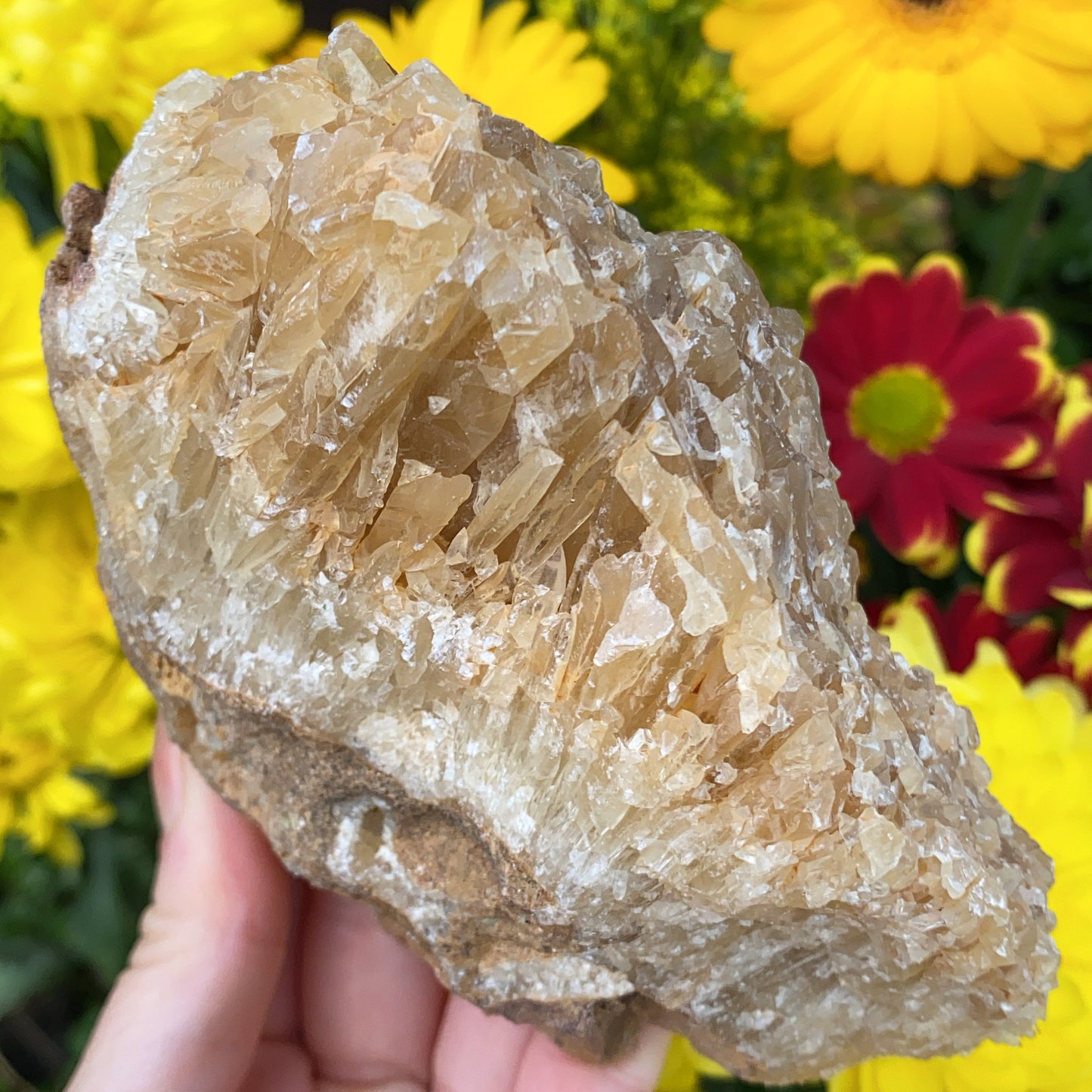 Portuguese Raw Honey Calcite #1