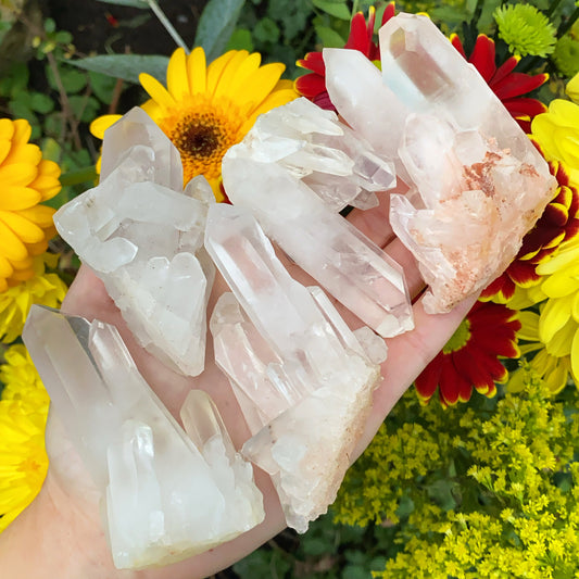 Enchanted Clear Quartz Point Cluster